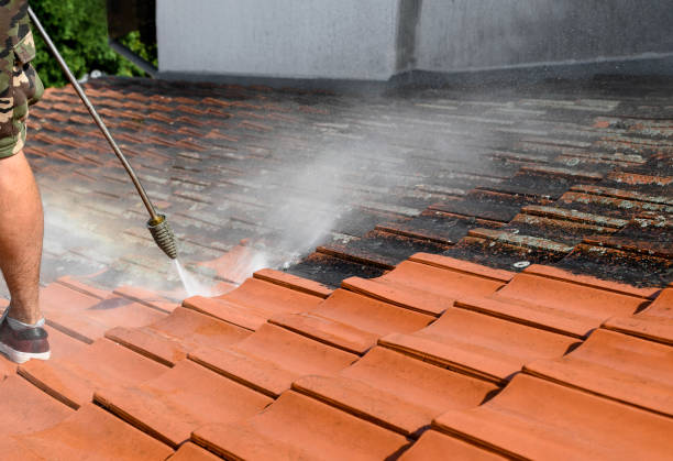 Best Deck Cleaning Services  in Holland, OH