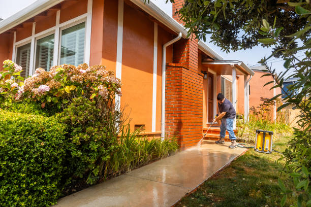 Best House Pressure Washing  in Holland, OH