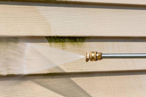Best Pressure Washing Near Me  in Holland, OH