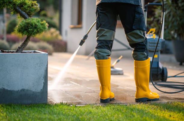 Best Best Pressure Washing Companies  in Holland, OH